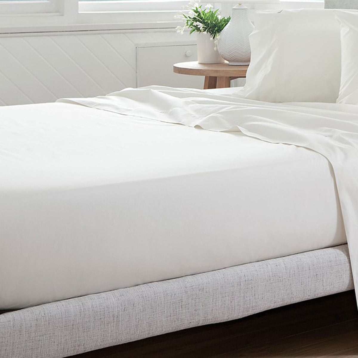 White Crisp poly-cotton percale fitted sheet on a bed with a matching flat sheet, pillow in a matching pillowcase, and a bedside plant near a window.